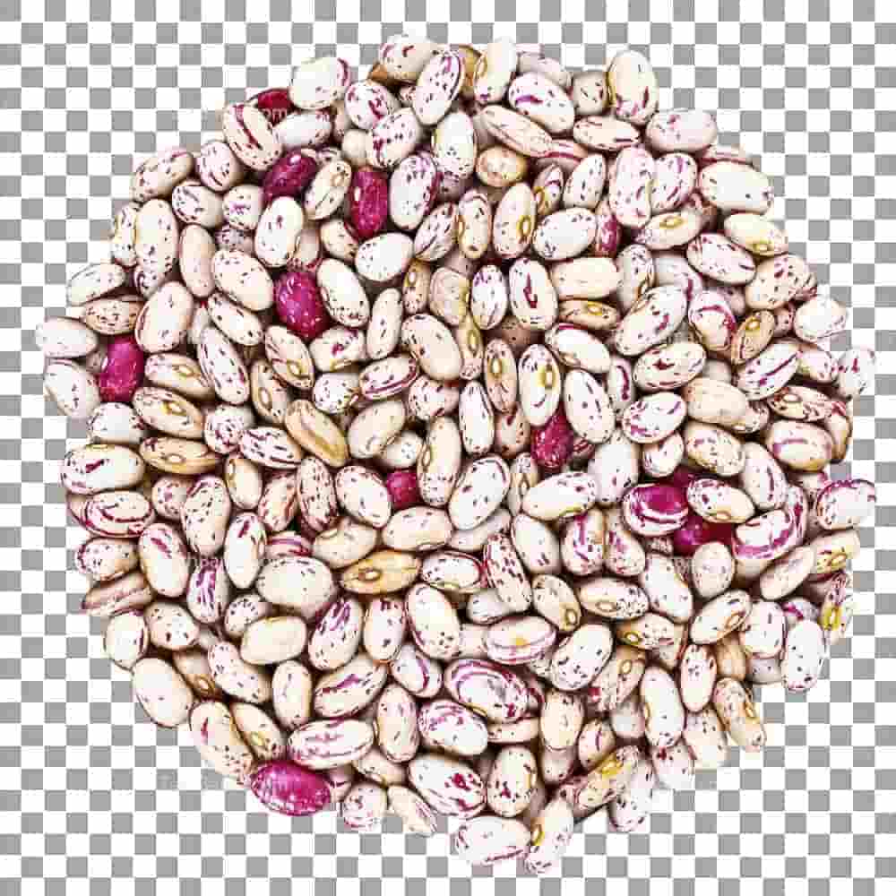 تصویر 1 از لوبیا چیتی با کیفیت بومی ممتاز